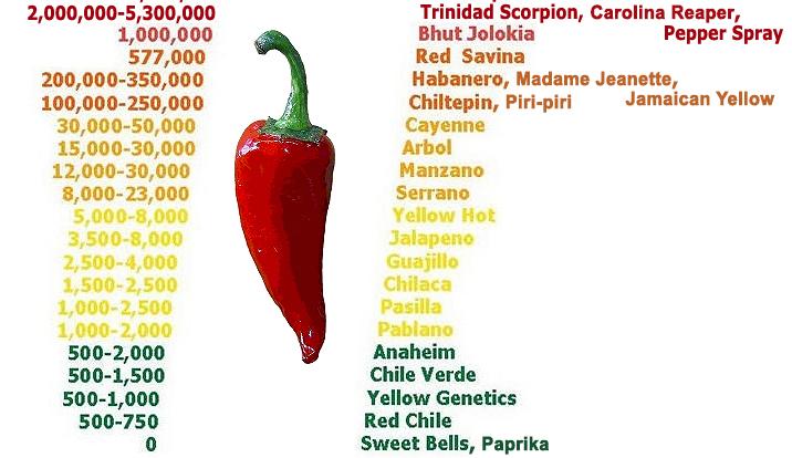 Hotness Of Peppers Chart
