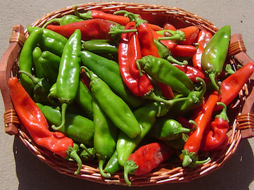 NuMex Heritage Hatch 6-4 Chile Peppers
