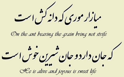 Persian Poetry ferdowsi ant quote