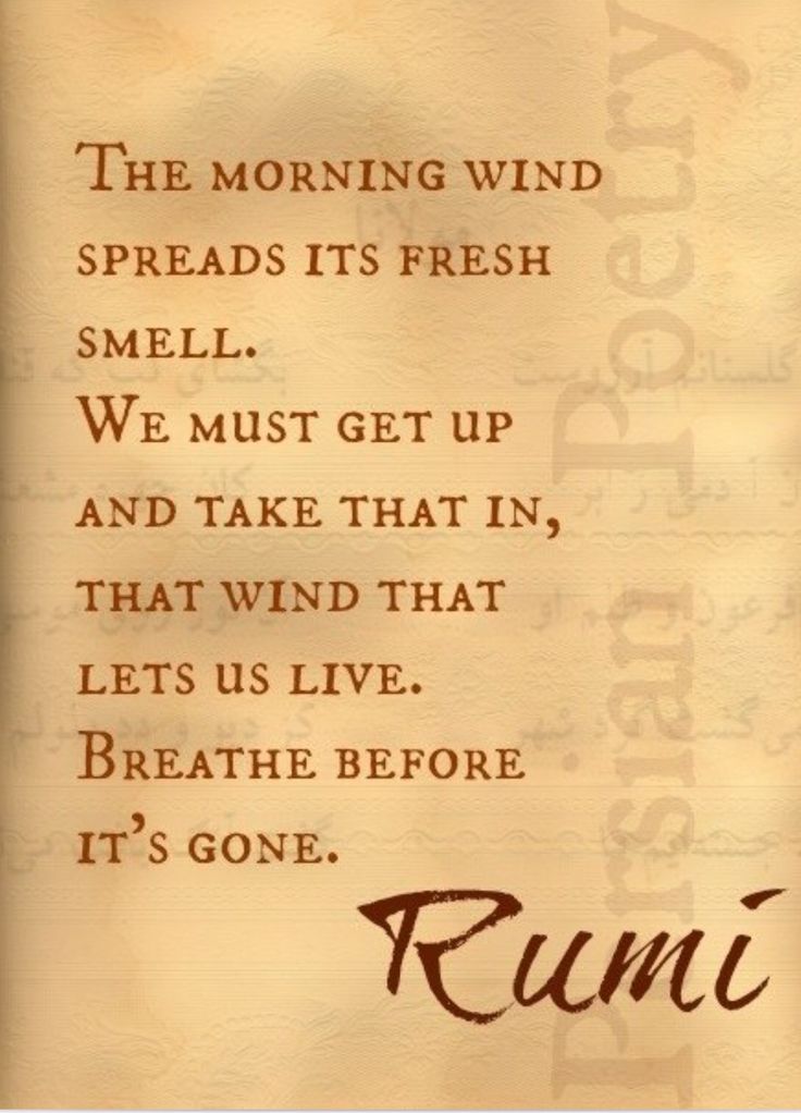 Rumi poetry quote