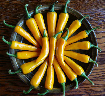 Shipka Bulgarian Carrot Hot Chile Peppers